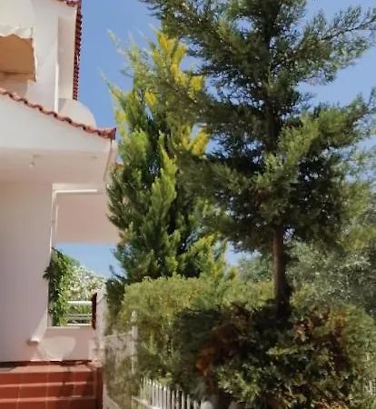 ευχάριστη στη στην περιοχή 