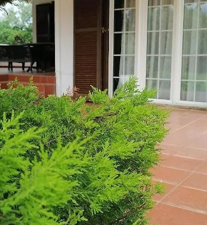 Ferienhaus ευχάριστη στη στην περιοχή 