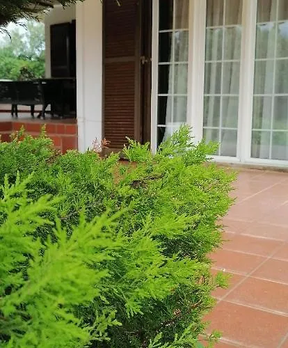 Σπίτι διακοπών ευχάριστη στη στην περιοχή 